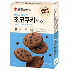 큐원 홈메이드 초코쿠키 믹스, 1개, 300g