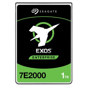씨게이트 Exos 7E2000 7200 / 128M HDD, 1TB, ST1000NX0313