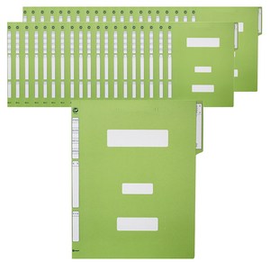 서일산업 정부화일 A4, 연두, 40개입