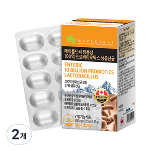 메이플트리 장용성 100억 프로바이오틱스 생유산균, 2개