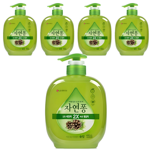 자연퐁 찌든때 걱정없는 솔잎 주방세제 용기형, 490ml, 5개