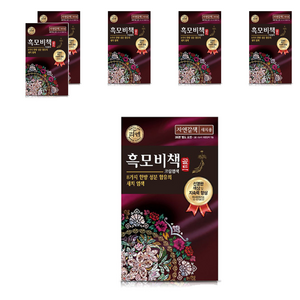 리엔 흑모비책 새치염색용 골드 일반염모제, 자연갈색, 6개