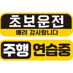 제제데코 초보운전 자동차 탈부착 자석 고휘도 반사 스티커 시트지 미디엄 E230 EC001 + EC038 세트, 혼합색상, 2개