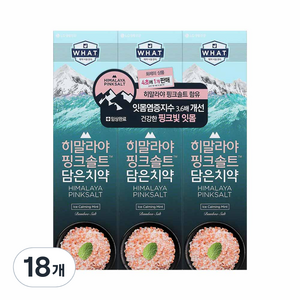 히말라야핑크솔트 담은 치약 아이스 카밍 민트, 100g, 18개