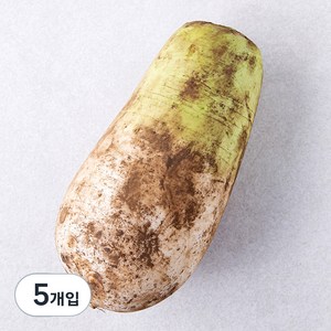 친환경 무, 1개입, 5개