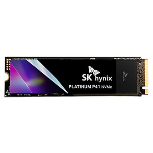 SK하이닉스 Platinum P41 NVMe SSD, 500GB