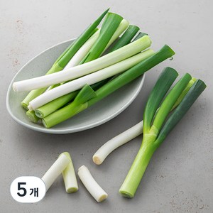 국내산 절단 손질대파, 500g, 5개