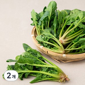 국내산 시금치, 500g, 2개