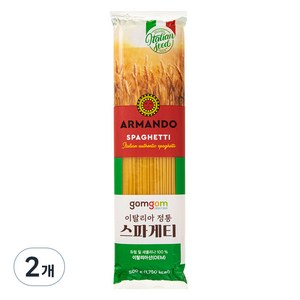 곰곰 이탈리아 정통 스파게티, 500g, 2개
