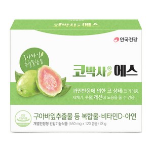 안국건강 코박사에스 영양제 알레르기비염이란