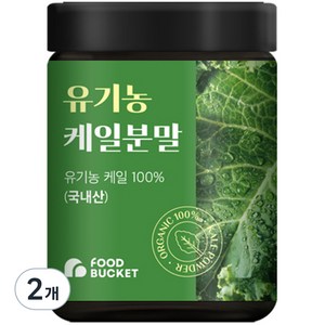 푸드버킷 유기농 케일분말, 100g, 2개