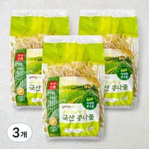 곰곰 무농약인증 국산 콩나물, 500g, 3개