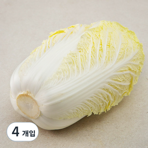 곰곰 국내산 알배기, 1개입, 4개