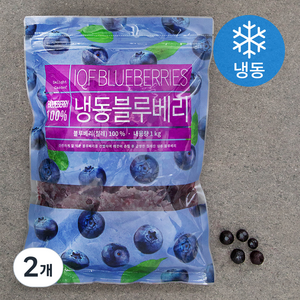 딜라잇가든 냉동 블루베리 (냉동), 1kg, 2개