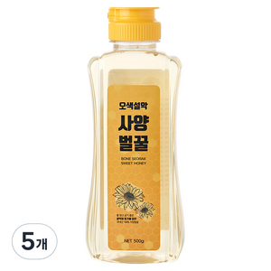 오색설악 사양벌꿀, 500g, 5개