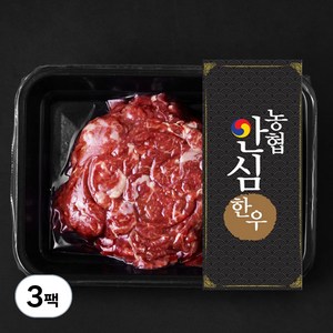 농협안심한우 정육 1등급 불고기용 (냉장), 300g, 3팩