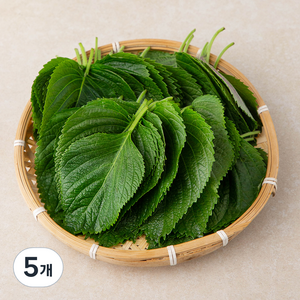 GAP 추부 깻잎, 100g, 5팩