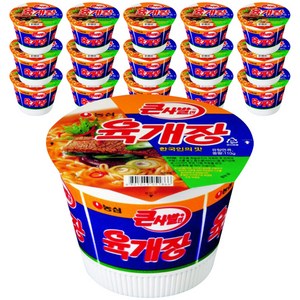 육개장 큰사발면 110g, 16개