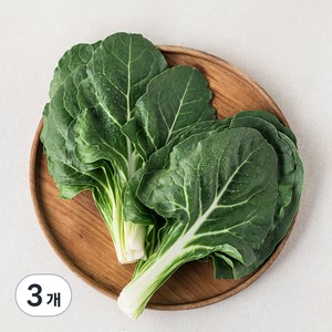 국내산 근대, 300g, 3개