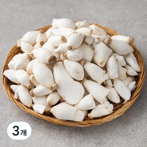 친환경 미니 새송이버섯, 600g, 3개