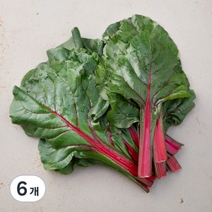 국내산 적근대, 300g, 6개