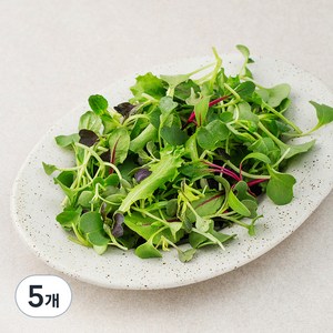 유기농 어린잎 채소믹스, 50g, 5개, 50g