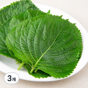 GAP인증 밀양 깻잎, 100g, 3봉