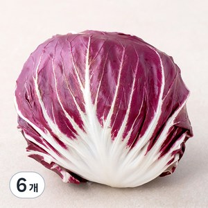 국내산 라디치오, 200g, 6개