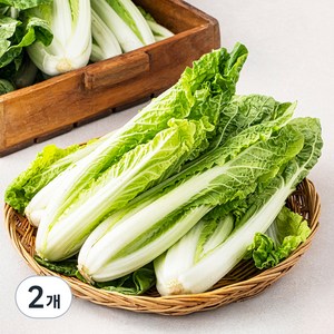 국내산 얼갈이, 4kg, 2개