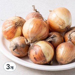 국내산 친환경 양파, 1.5kg, 3개