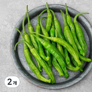 친환경 꽈리고추, 100g, 2개