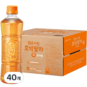 빙그레 맑은아침 호박팥차 무라벨, 500ml, 40개