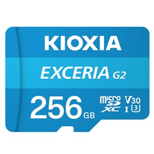 키오시아 EXCERIA 마이크로 메모리 카드 홈캠 블랙박스 CCTV SD LMEX2L256GG4, 256GB, 1개