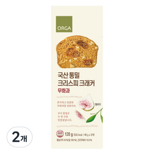 올가홀푸드 통밀 크리스피 크래커 무화과, 120g, 2개