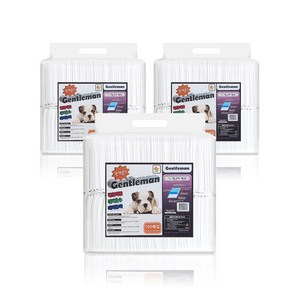 펫앤피플 젠틀맨 애견패드 허브향 43 x 53 cm, 100매입, 3개입