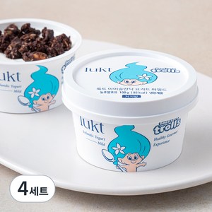 룩트 아이슬란딕 요거트 마일드 100g + 허니스틱 15g + 초코 클러스터 25g, 4세트