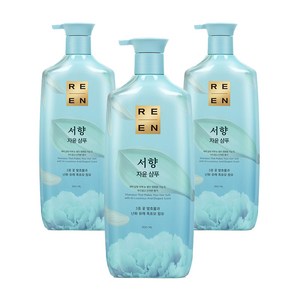 리엔 자윤 한방샴푸 서향, 950ml, 3개