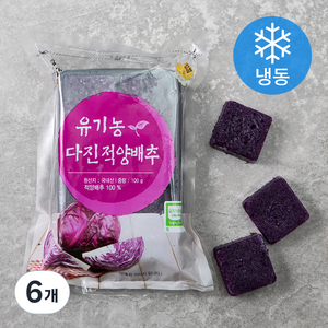 유기가공식품 인증 웰팜넷 유기농 다진적양배추 (냉동), 100g, 6개