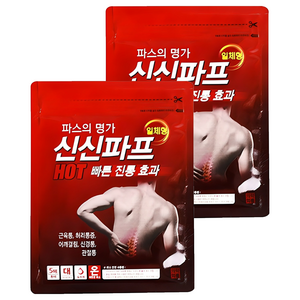 신신제약 신신파프 HOT 파스, 5개입, 2개