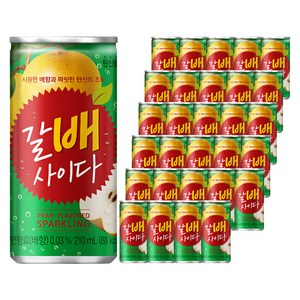 갈배사이다, 210ml, 30개