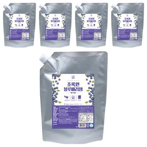 초록원 블루베리잼 파우치형, 1kg, 5개
