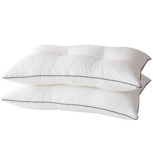 라뽐므 프로프르 알러지방지 베개솜 2p, 화이트, 1세트