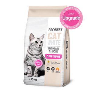 프로베스트 전연령 캣 화이트 건식사료, 오리, 10kg, 1개