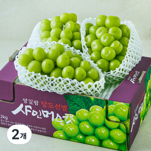 영길팜 당도선별 샤인머스캣, 2kg, 2개