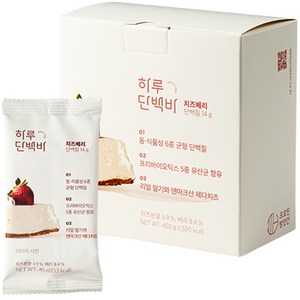 프로틴방앗간 하루단백바 치즈베리, 45g, 10개