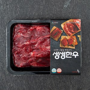 생생한우 1등급 덩어리 국거리용 (냉장), 300g, 1개