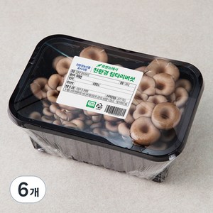 친환경 참타리버섯, 300g, 6개