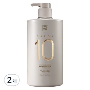 미쟝센 살롱 10 단백질 극손상모발용 샴푸 플라워향, 990ml, 2개