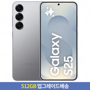 [256GB → 512GB 업그레이드] 갤럭시 S25 자급제 SM-S931N, 실버 쉐도우, 256GB