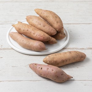 맛젤 해남 호박고구마, 1.5kg(상), 1봉